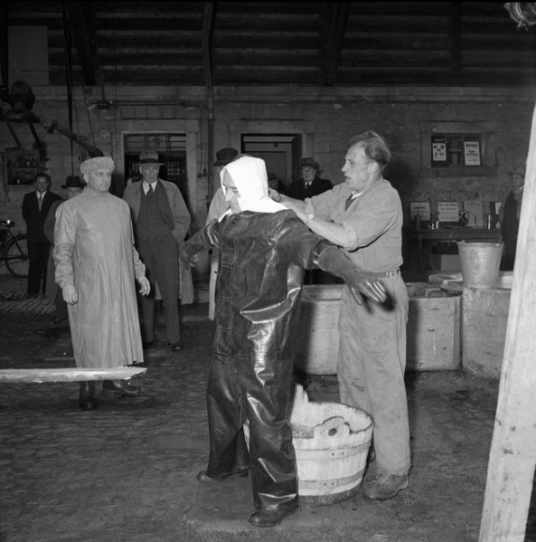 Measures against foot-and-mouth disease, 1953