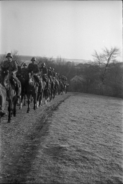 Willow near Chevenez. Cavalrymen riding their horses
