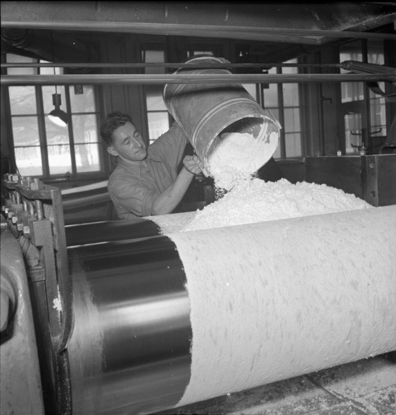 Gummiwerke Richterwil AG, 1950