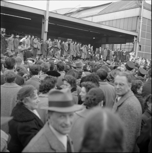 Gina Lollobrigida: Arrival in Zurich 1956.