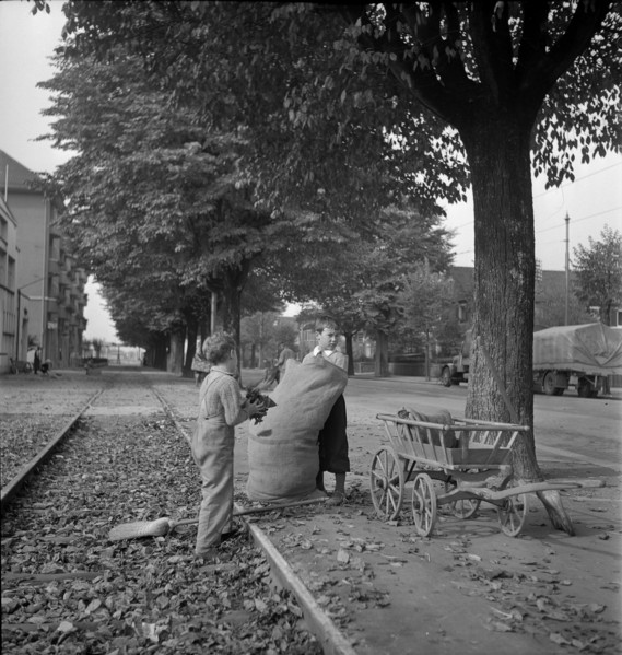 WW 2: economy of war; children collecting dead leaves.