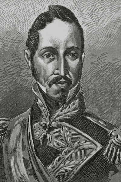 Joaquin Baldomero Fernandez-Espartero Alvarez de Toro (1793-1879), called Baldomero Espartero.