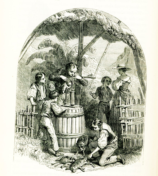 Swiss Family Robinson. The caption reads: “Skinning a Kangaroo.” The Swiss Family Robinson
