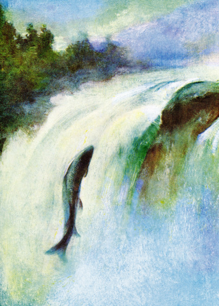 The caption for this 1917 image reads: “A Salmon Leaping. The height to which a salmon will leap in