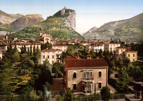 Overall View