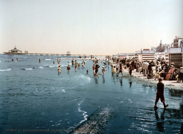 The Pier And The Shore