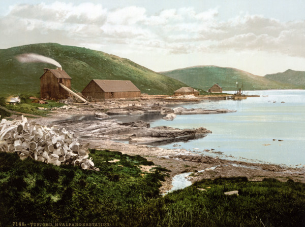 Whaling station in Tufjord, Norway, around 1895, historical, digitally restored reproduction from