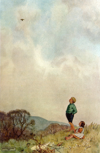 Skylark Sings