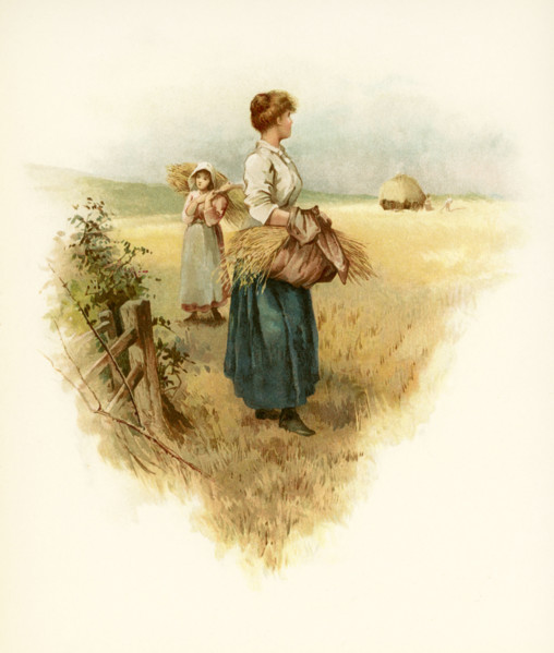 The caption for this illustration reads: Still keep the green earthe tender, still keep the grey