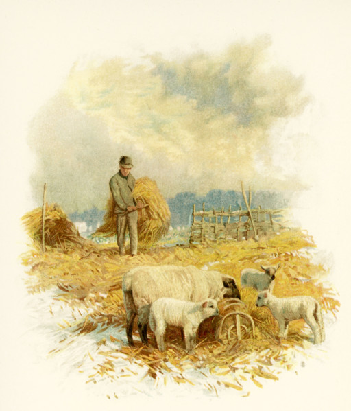The caption for this illustration reads: While the earth remaineth, seed-time and harvest, and cold