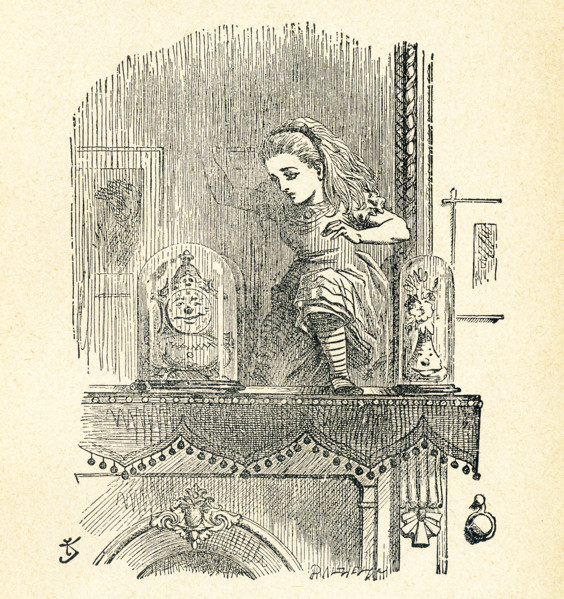 This illustration of Alice poking poke the looking glass (mirror) and seeing an old man in the