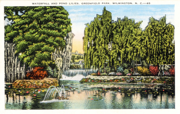 Waterfall and Pond Lilies, Greenfield Park, Wilmington North Carolina; This is one of many