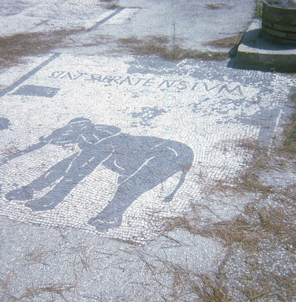 Ostia Antica, located at the mouth of the Tiber River, was the port city of ancient Rome. Uncovered