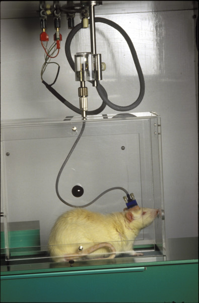 Laboratory Council, 1987
