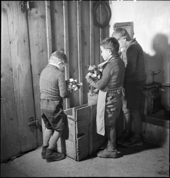 Farmer's sons getting pieces of firewood in 1941.