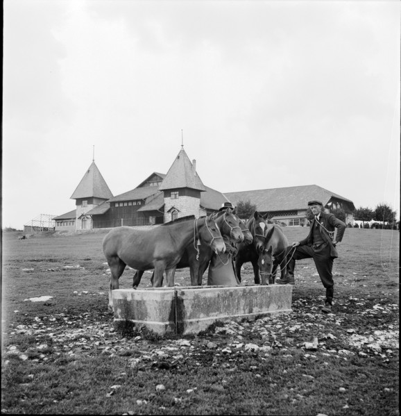 42nd Marche-Concours Saignelegier, horse watering place, 1945.