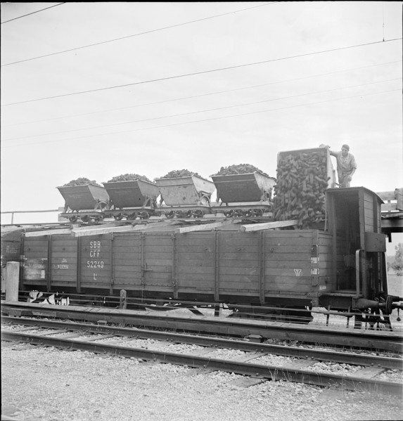 Peat extraction near Ins 1942.