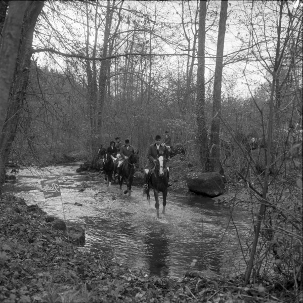 Fox hunting; foxhunting, Switzerland 1959.