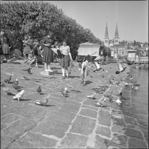 Lucerne, girls feeding pigeons; 1953.