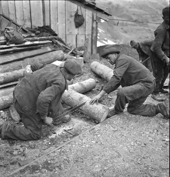 Valais, Miners sawing up tree trunk; Goltschried coal mine; 1941.