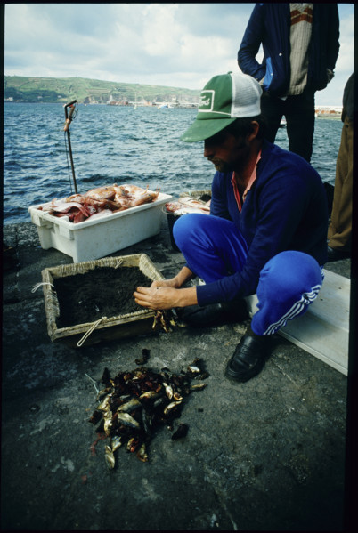 Fisherman with his catching, Azores 1984.