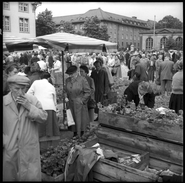 Flower market at Helvetiaplatz in Zurich 1958.