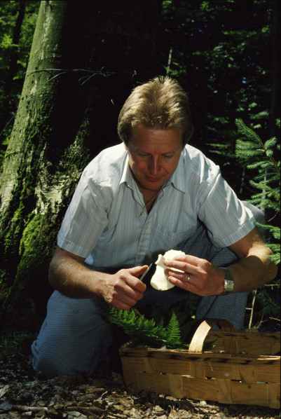 Chef Thuri Maag collecting mushrooms, 1989.