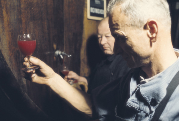 Volg Winery: Tasting Wine.