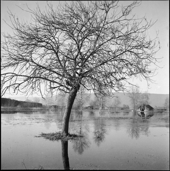 Flood near Ins and Witzwil, 1950.
