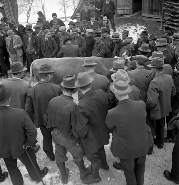 Appenzell; farm being auctioned