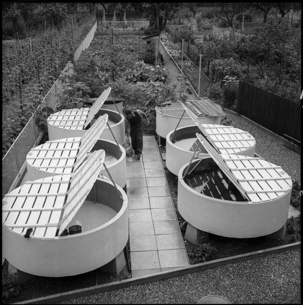 Fish brood institute Ermatingen, pilot plant 1956