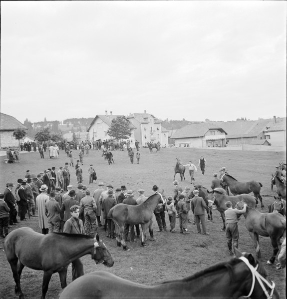 38th Marché Concours Saignelégier, 1941