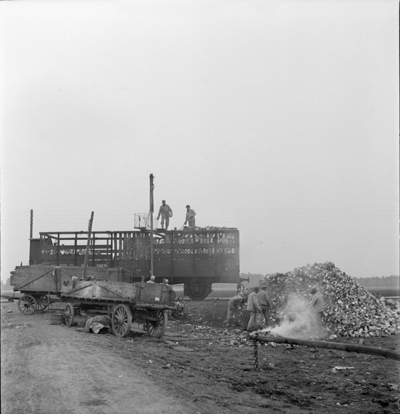 WW2: economy of war; inmates unloading used metal