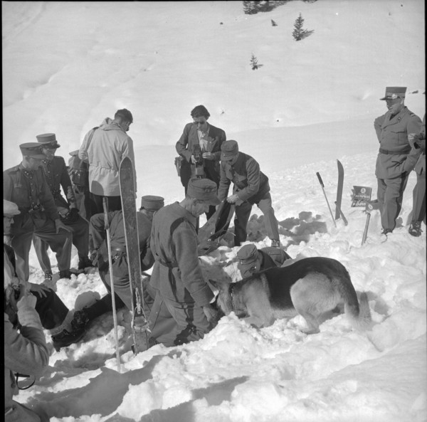 Soldiers at search training with avalanche dogs, Grindelwald 1951