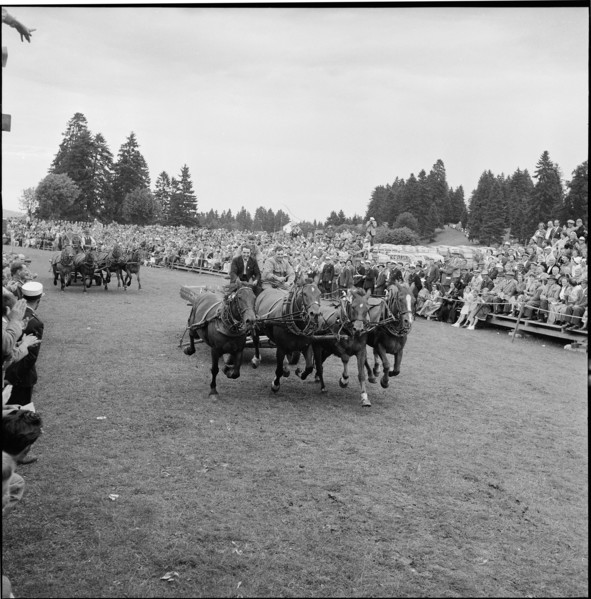 53rd Marché-Concours Saignelégier, chariot race, 1956