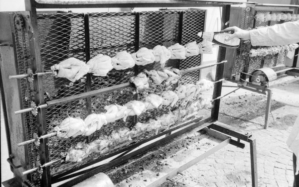 62nd Marché-Concours Saignelégier, chicken on skewer, 1965