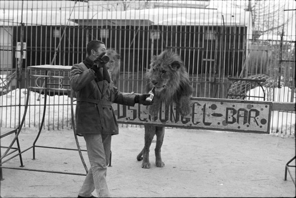 Lions training 1969