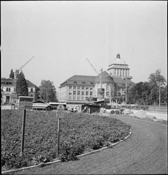 Potato field close to the University ca. 1940