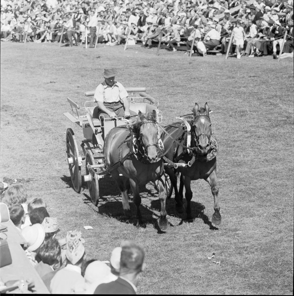 60th Marché Concours Saignelégier, 1963