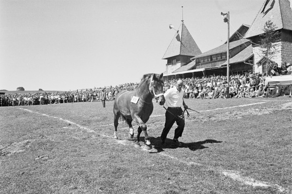 60th Marché Concours Saignelégier, 1963