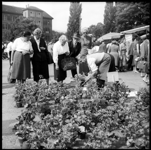 Flower market at Helvetiaplatz in Zurich 1959