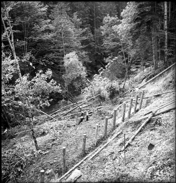 law; land slide after heavy rains, damaged wood; 1946