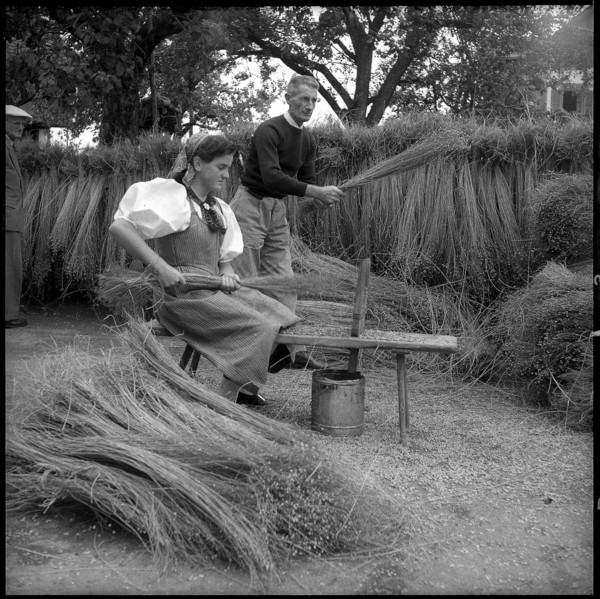 Breaking flax in Zaeziwil, 1956