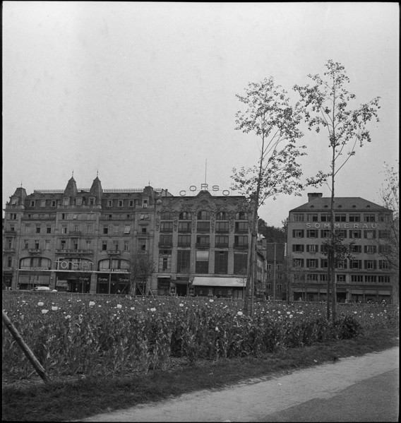 Filed of opium poppy in the city center; 1941