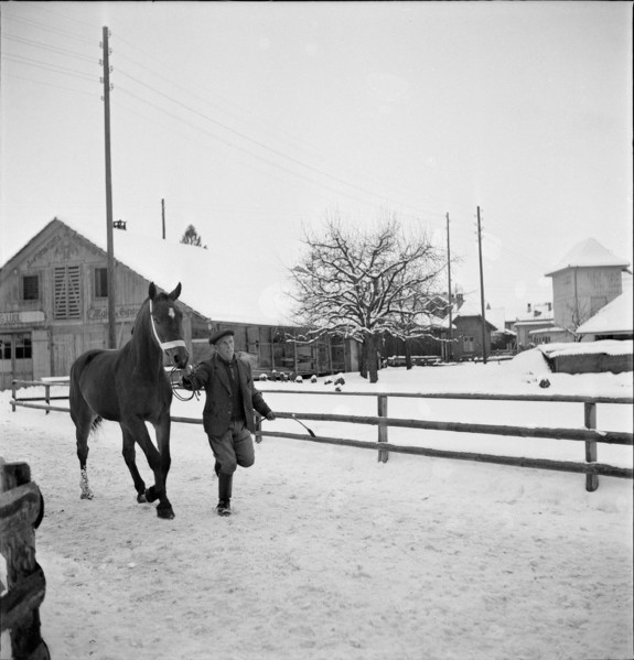 9th Burgdorf inland horse market, 1944