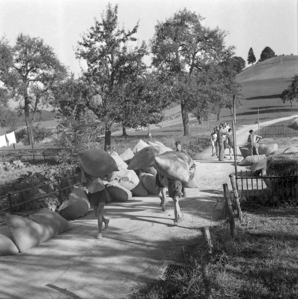 Volunteer pre-instruction; coaching provided in the canton of Zurich; 1943