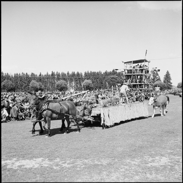 49th Marché Concours Saignelégier, 1952