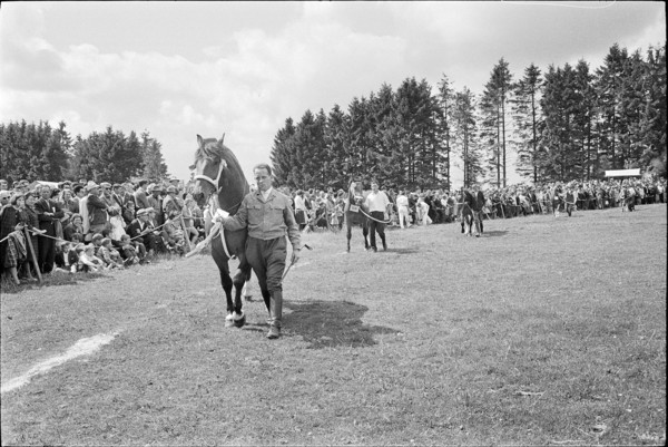 61st Marché Concours Saignelégier, 1964