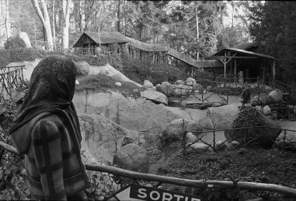 Visitor to the Glacier Garden in Lucerne, 1972
