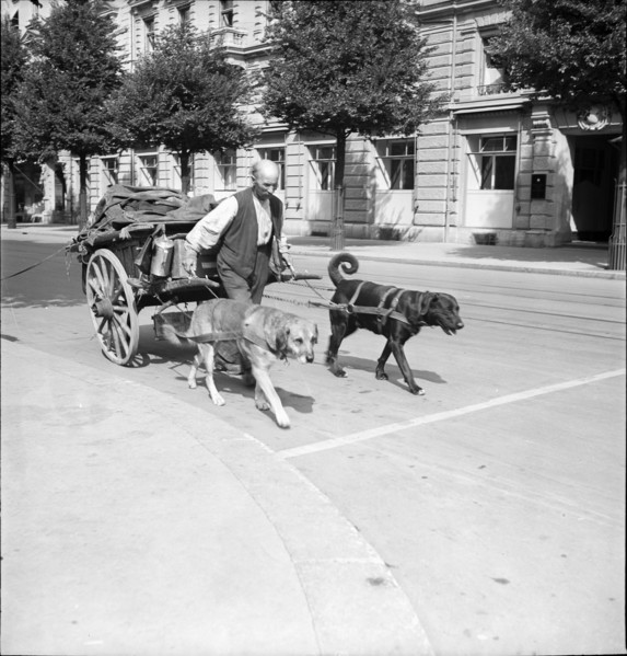 Yenish merchant in Bern, 1940